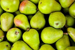 Zdrowa dieta z dostawą do domu